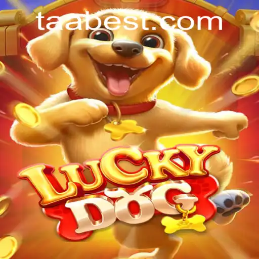 TAABET.COM Casino App